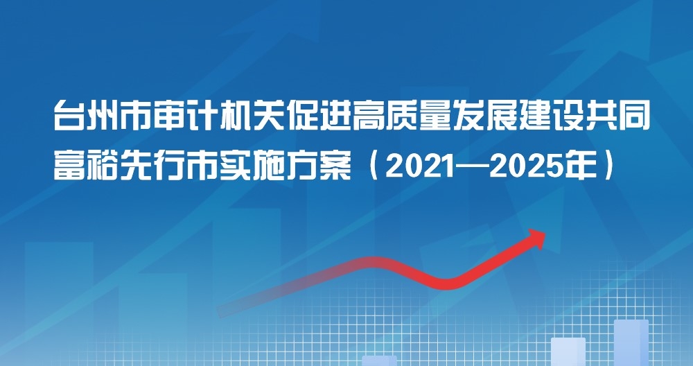 台州市审计机关促进高质量发展建设共同富裕 先行市实施方案（2021—2025年）