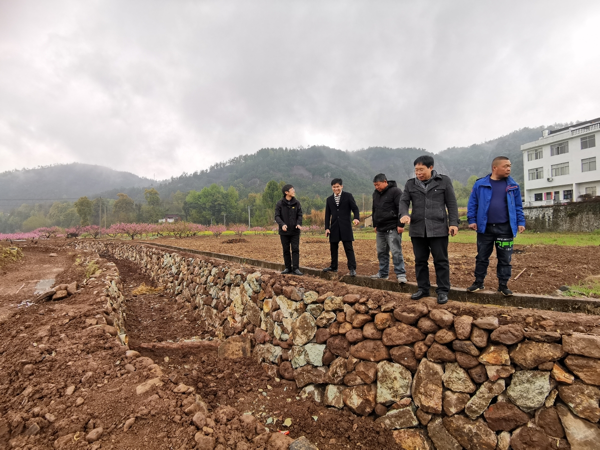 打造农田生态沟渠，建设美丽仙乡田园